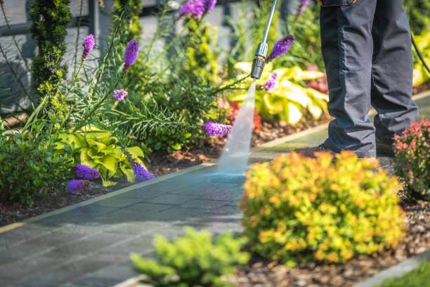 Reliable Garden Grove, CA Pressure Washing Services Solutions